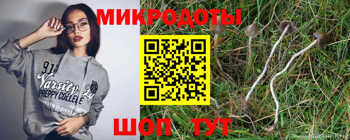 Псилоцибиновые грибы Magic Shrooms Кимовск