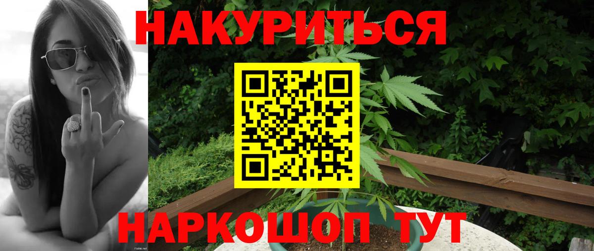 Бошки Шишки гибрид Кимовск